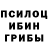 Псилоцибиновые грибы Cubensis DimosekSuper 7