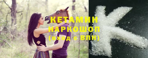 гашик Мегион