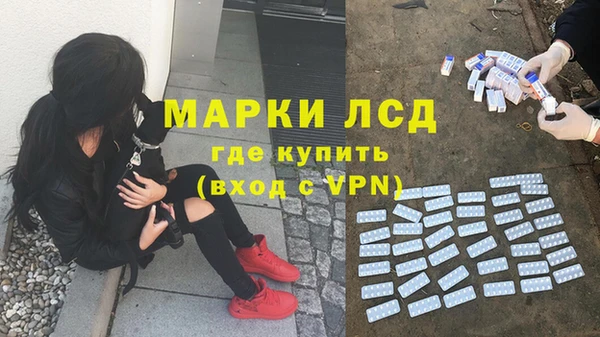 альфа пвп Медвежьегорск