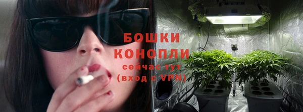 альфа пвп Медвежьегорск