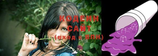 альфа пвп Медвежьегорск