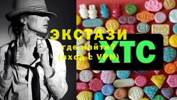 гашик Мегион