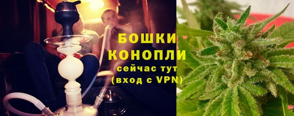 альфа пвп Медвежьегорск