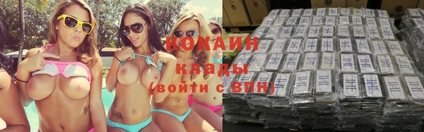 гашик Мегион