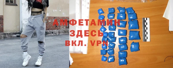 гашик Мегион