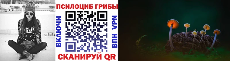 Купить  Каневская  Псилоцибиновые грибы ЛСД 