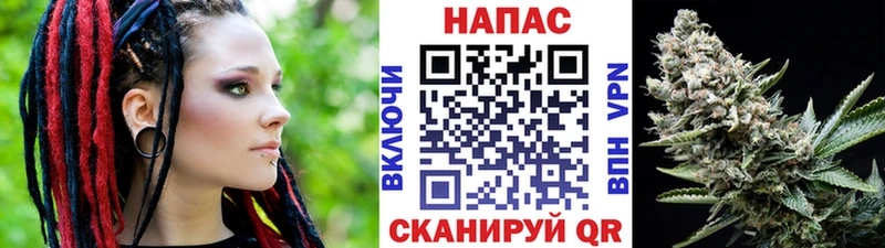 Купить  Каневская  Конопля сатива 